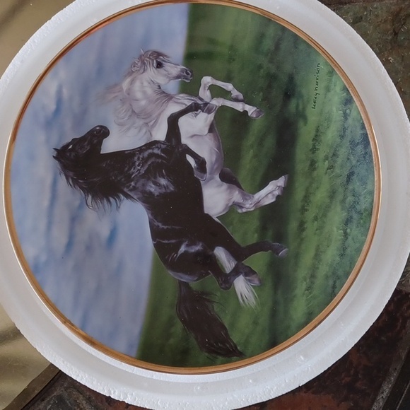 Ivory and Ebony horse collection plates, limited edition, Lesley Harriso… - Picture 1 of 4